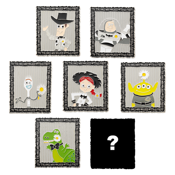 Collectable Blind Box Magnet